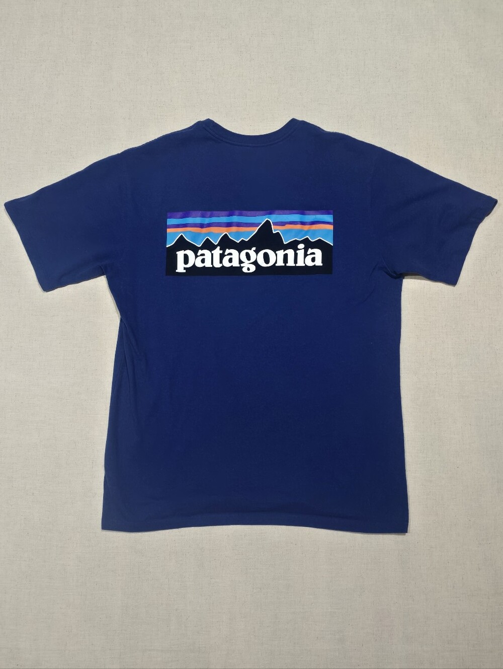 Patagonia Mens Responsibili-Tee Shirt Size Small